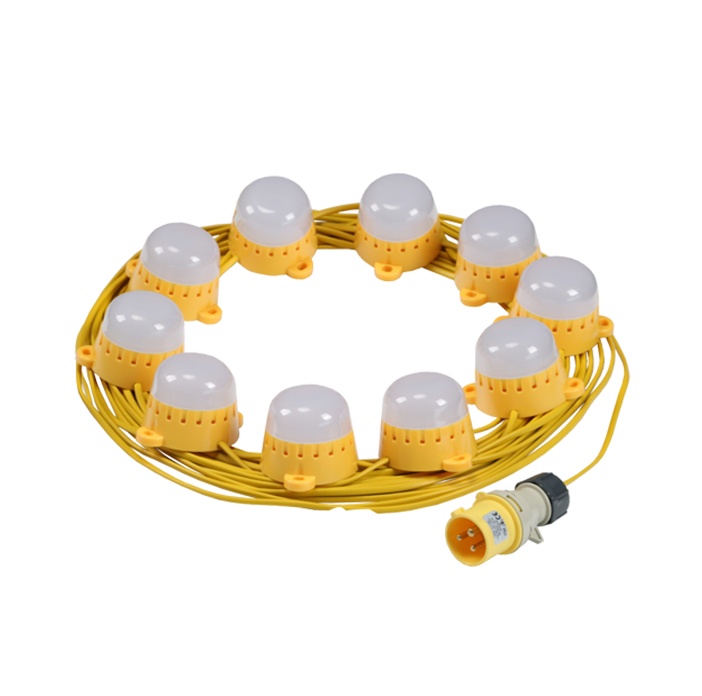 LED Festoon Kit - 22M